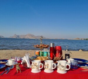 Luxury Leopard Safari Resort in Jawai
