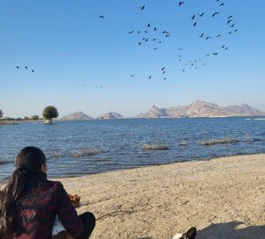 Luxury Leopard Safari Resort in Jawai