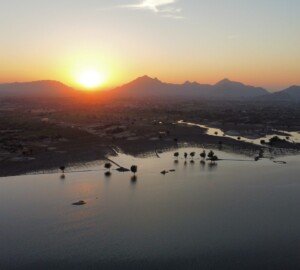 Luxury Leopard Safari Resort in Jawai